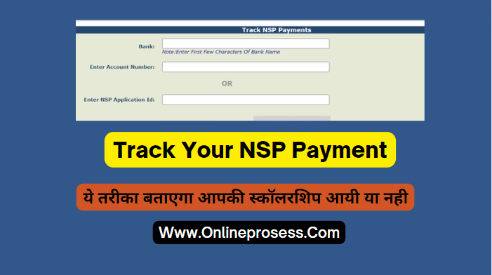 Track Your NSP Payment
