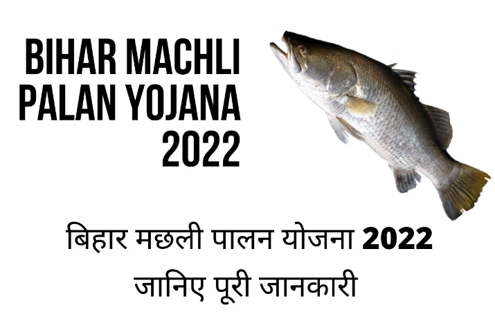 Matsya Vibhag Bihar Anudan Yojana 2022