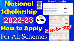 NSP Scholarship Online Apply 2022-23