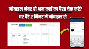 How To Check Balance in E Shram Card Online