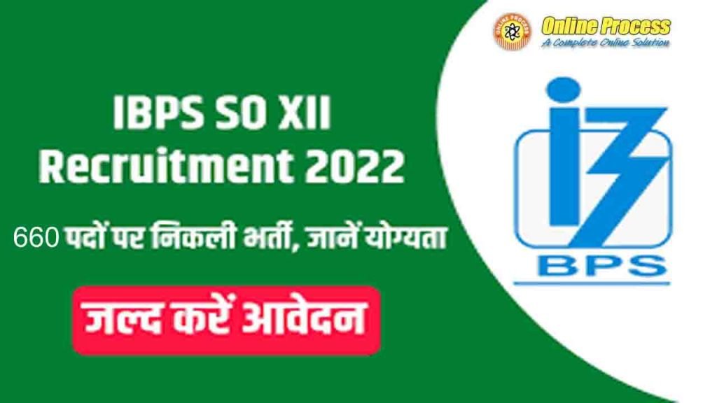  IBPS SO XII Recruitment 2022