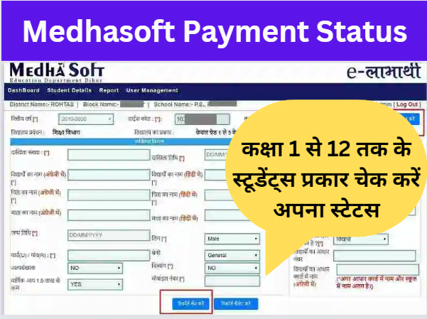 Medhasoft Payment Status