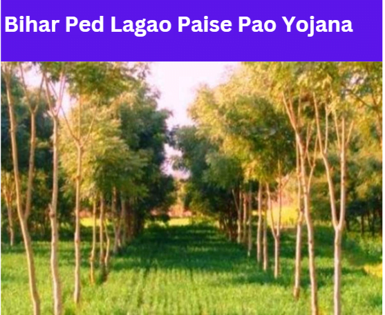 Bihar Ped Lagao Paise Pao Yojana