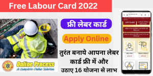Free Labour Card