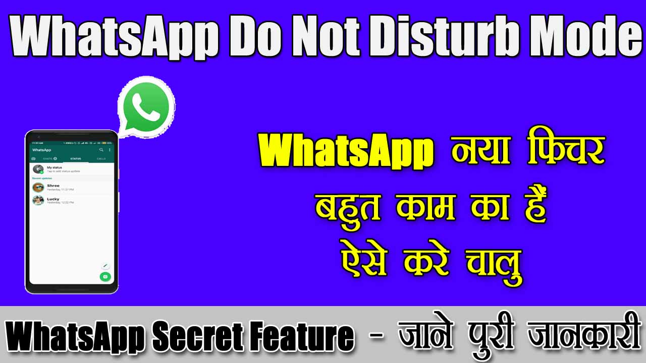 WhatsApp Do Not Disturb Mode
