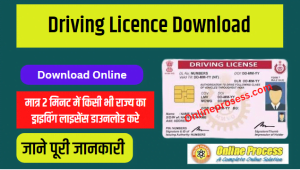 Driving Licence Download