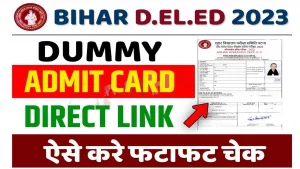 Bihar Deled Dummy Admit Card 2023