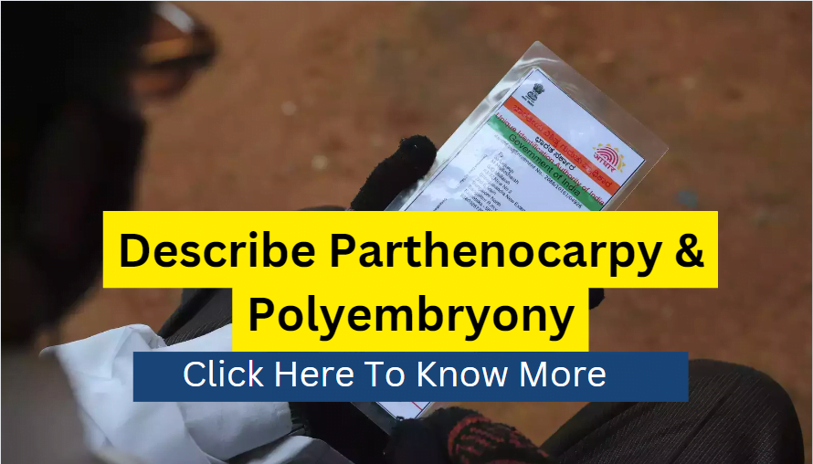 Describe Parthenocarpy & Polyembryony