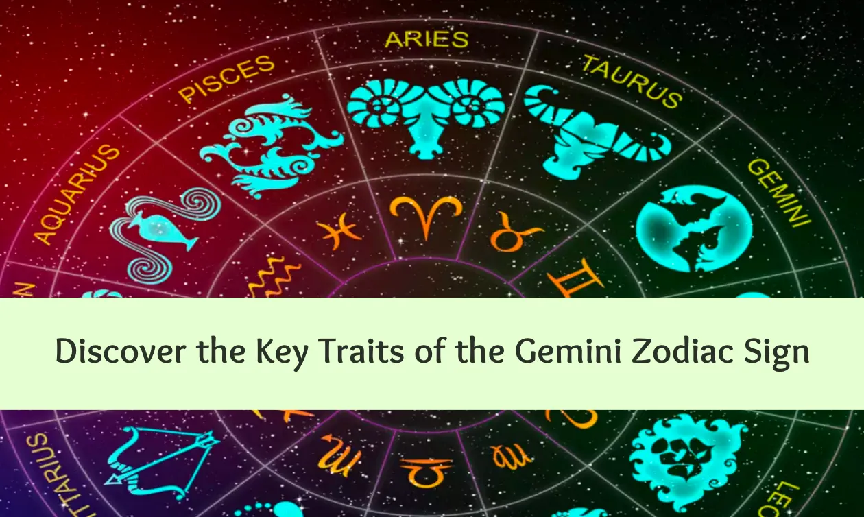 Gemini Zodiac Sign