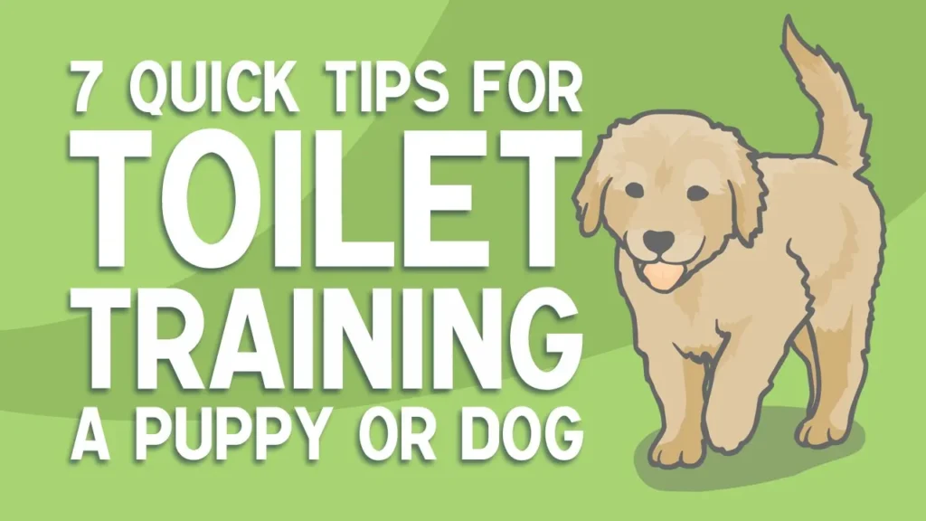 How to Toilet Train a Puppy in 7 Days