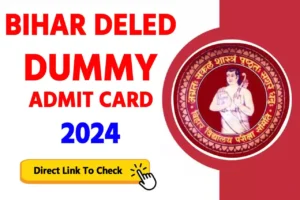 Bihar Deled Dummy Admit Card 2024