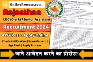 Rajasthan LDC / Junior Assistant Recruitment 2024